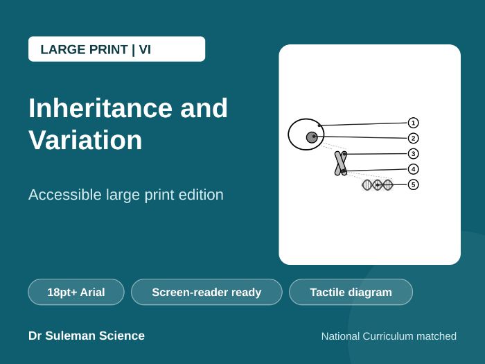Inheritance and Variation Large Print VI KS3