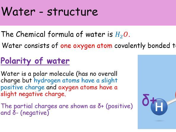 WJEC A level biology 1.1 biological molecules power points for entire topic