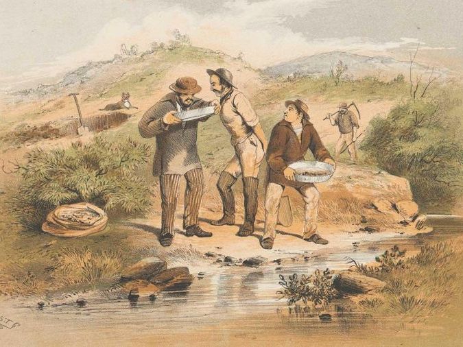 The Gold Rush