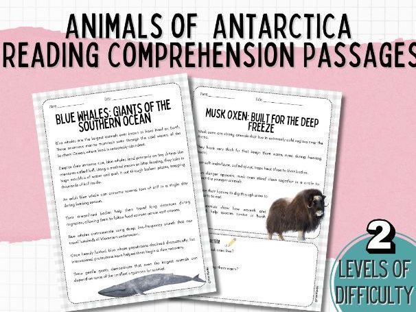 Differentiated Animals of Antarctica Reading Comprehension | Nonfiction Literacy Pack | ESL / EAL