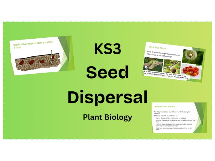 KS3 Seed Dispersal PPT and Presentation Task