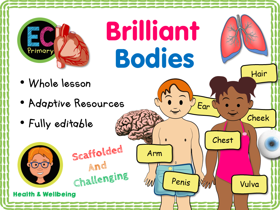 Private Body Parts RSE KS1 Teaching Resources