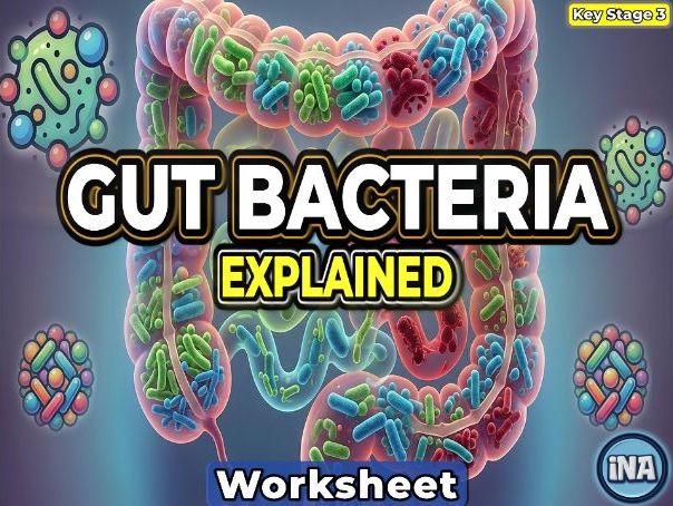 Bacteria in the Digestive System - KS3 Biology Worksheet
