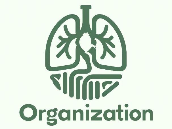 Gas exchange lesson ks3/ks4 biology