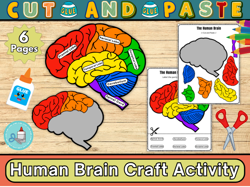 Human Brain Anatomy Craft-Label the Human Brain-Science & Growth Mindset Activity