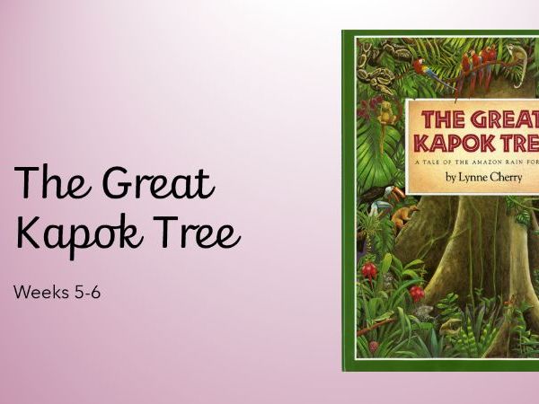 The Great Kapok Tree Reading and Writing