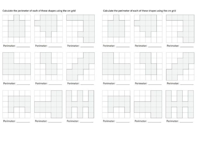 KS2 Perimeter on a grid | Teaching Resources