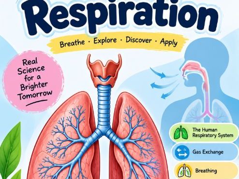 Grade 8 Science Respiration Workbook | Respiratory system | Breathing : 35 Printable Pages