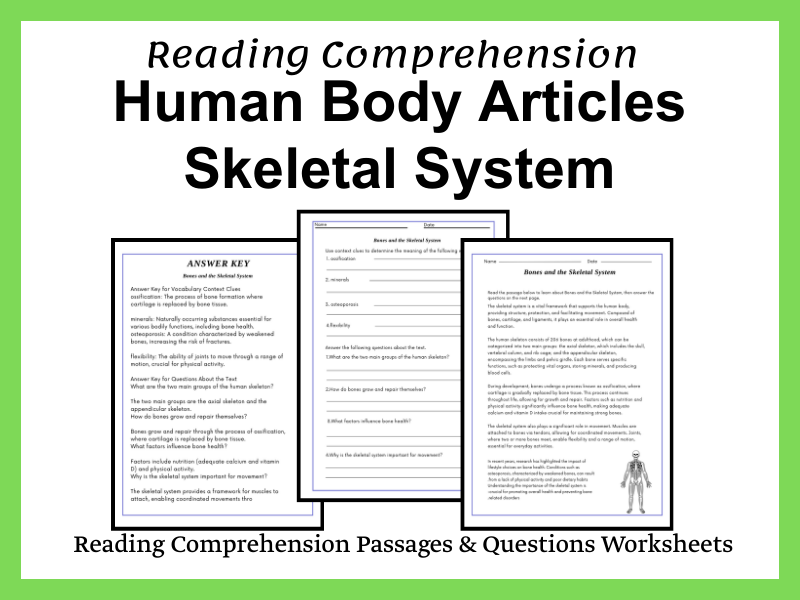 "Bones and the Skeletal System" Reading Comprehension Worksheet