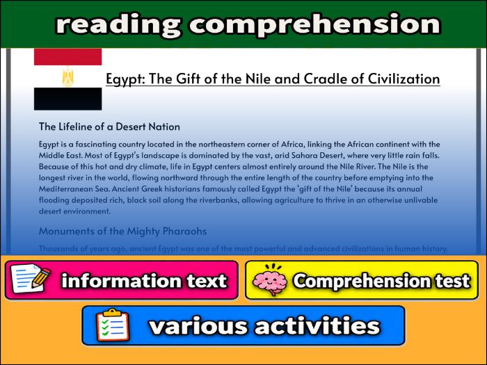 Egypt: The Gift of the Nile and Cradle of Civilizatio- Reading Comprehension, Worksheet & Activities