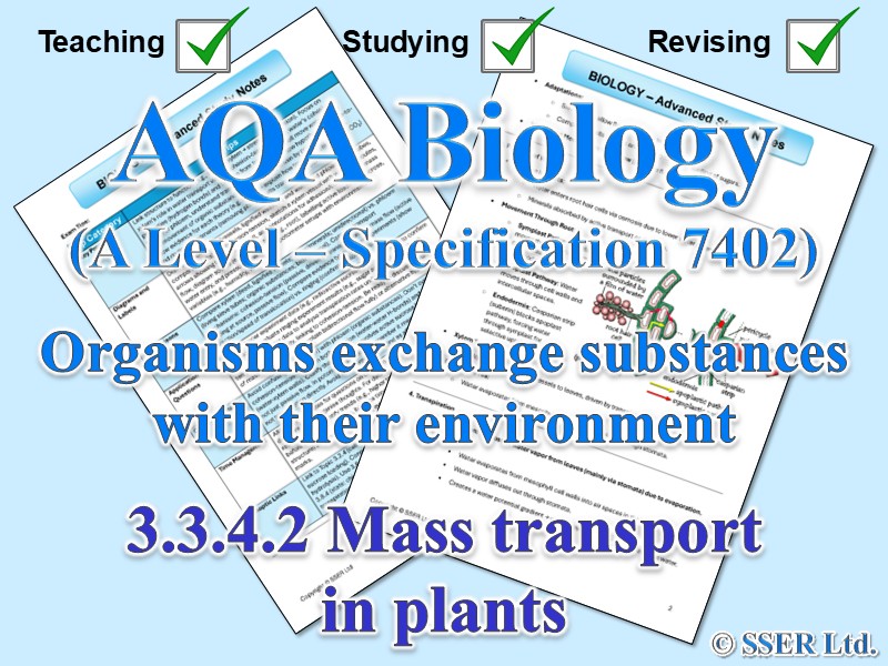 BIOA_AQA Topic Notes: 3.3.4.2 Mass transport in plants