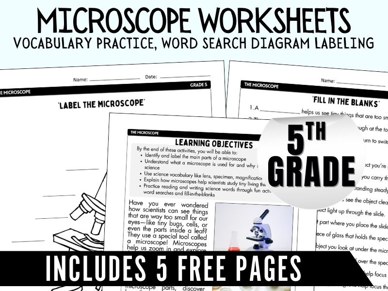 grade 5 intro to Microscope worksheets, vocabulary practice, labeling activities