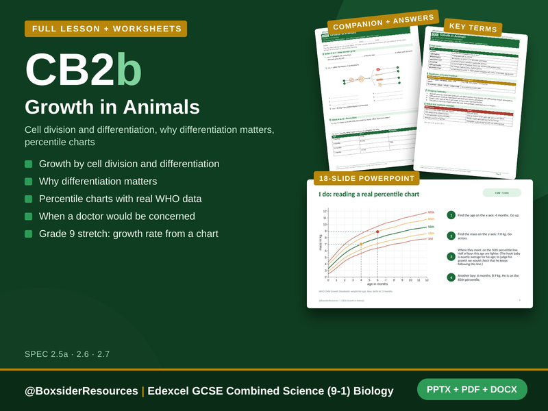 CB2b Growth in Animals | Edexcel GCSE Combined Science (9-1) | Lesson + Worksheet