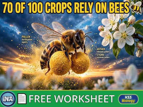 Pollination and Fertilisation - FREE KS3 Biology Worksheet