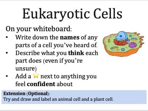 AQA GCSE Biology B1 Eukaryotic Cells
