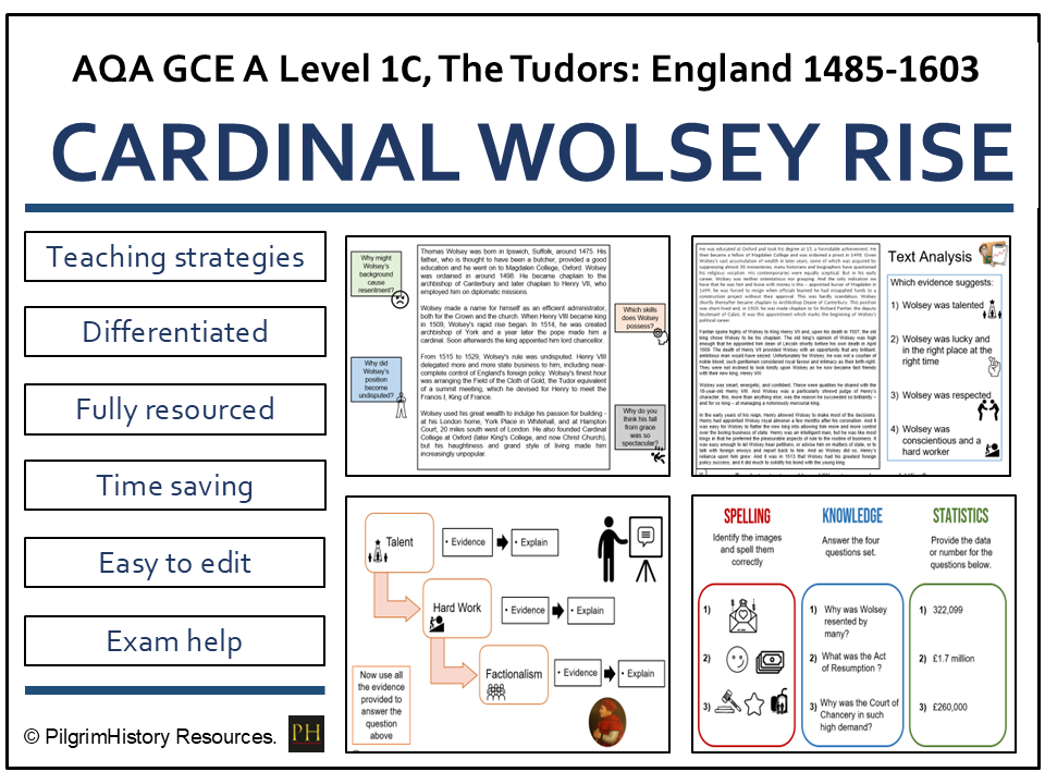 The Rise of Wolsey: Power, Patronage and Political Skill | AQA A Level History
