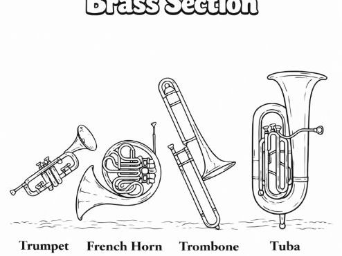 Bundle of Orchestra Sections Colouring Pages- string, brass, woodwind, percussion