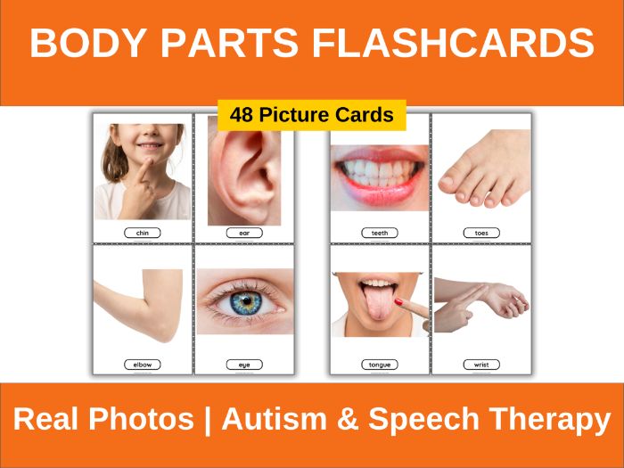 Body Parts Flashcards | Autism & SPED