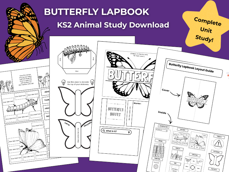Butterfly KS2 Animal Science Activities | Lapbook