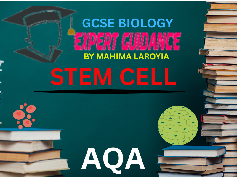 AQA - GCSE BIOLOGY STEM CELLS