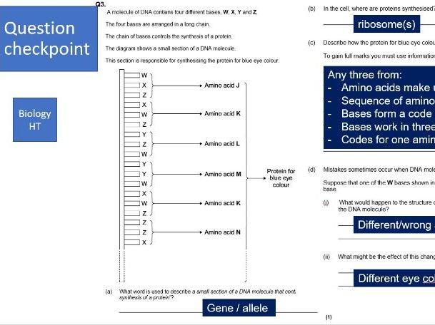 Inheritance, Variation & Evolution - 168 slides of ALL content + Exam Q&A