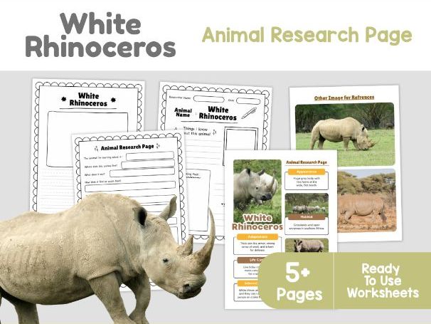 White Rhinoceros Animal Research Page | African Wildlife Worksheets