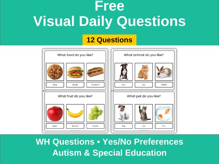Visual WH Questions & Yes No Cards (Autism)