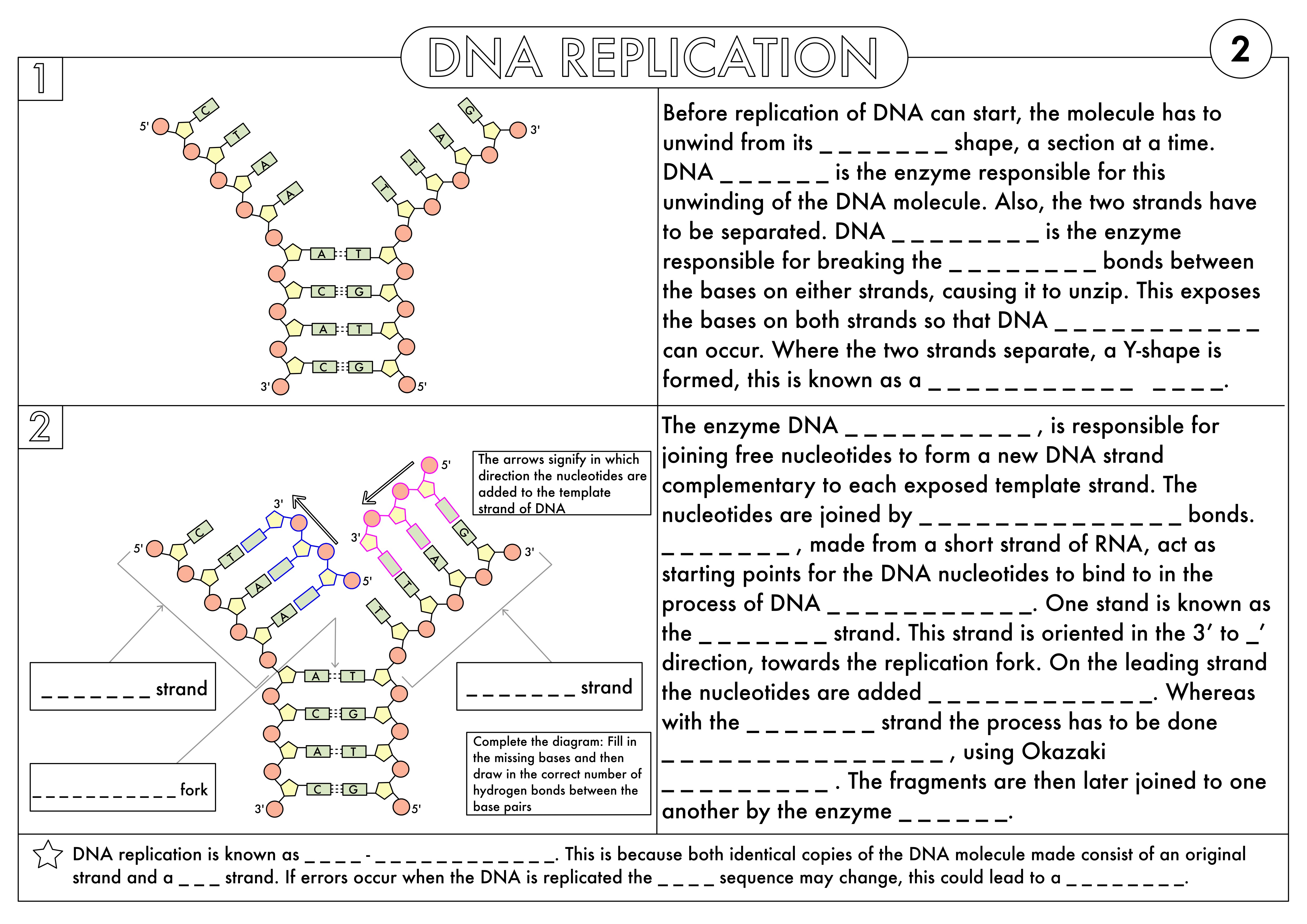 A Level Biology Worksheet Pack on DNA and Protein Synthesis Pertaining To Protein Synthesis Review Worksheet Answers