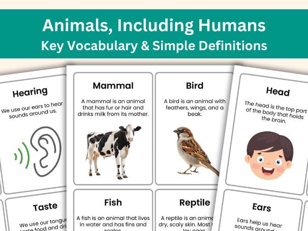 Animals, Including Humans Vocabulary Cards | Year 1 Science Definitions