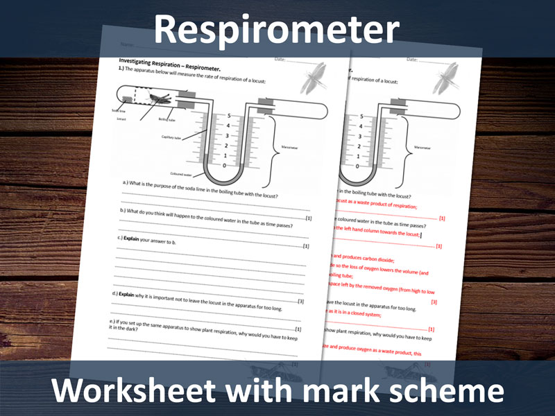 Respirometer Worksheet with Markscheme. Suitable for A-level students - respiration topic.