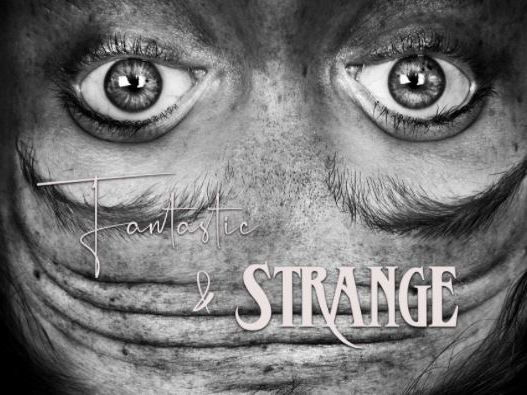 Fantastic & Strange artists