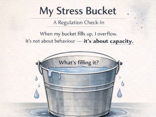 Teen Stress Bucket KS3 & KS4 – Emotional Regulation Tool & Coping Strategies for Secondary Students