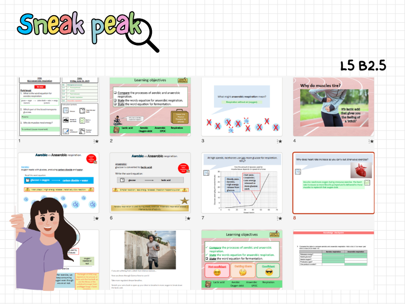 pptx, 13.06 MB