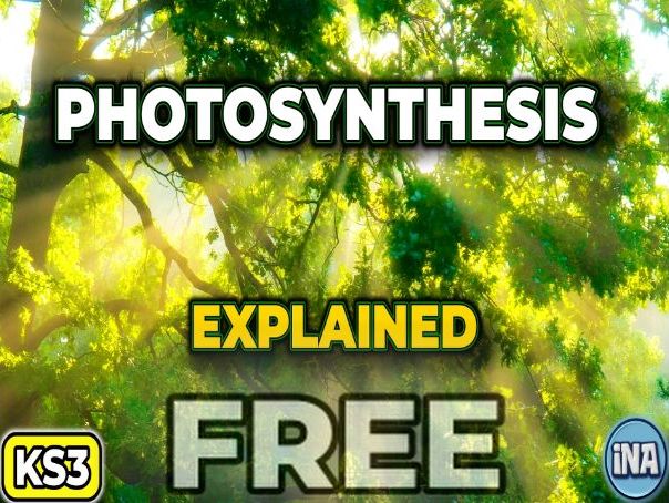 Photosynthesis - FREE KS3 Biology Worksheet