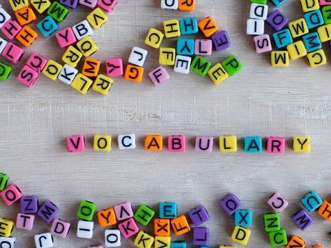 Sophisticated Literature Vocabulary