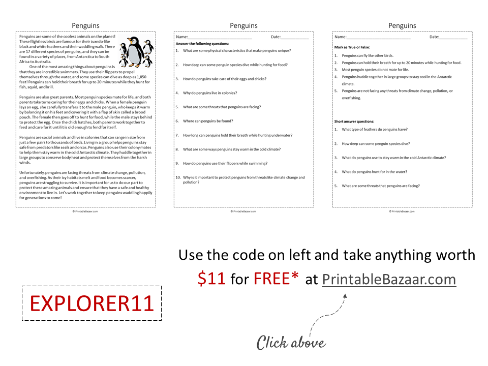 Penguins reading comprehension passage printable worksheet teaching