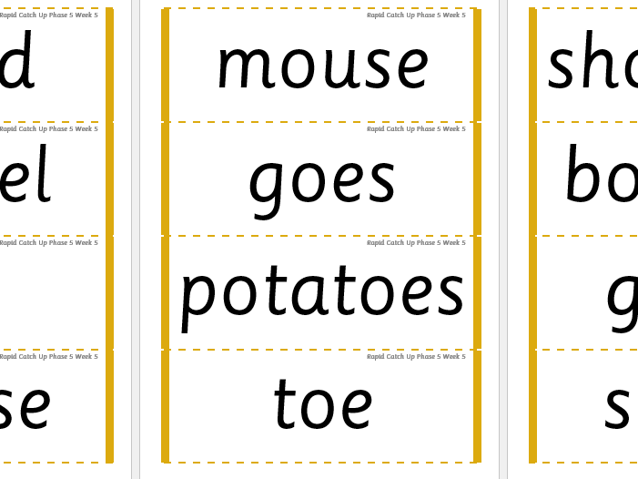Rapid Catch Up Phase 5 Week 5 (Supports Little Wandle)