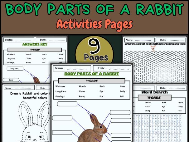 Body Parts of a Rabbit | Labeling, Coloring, Word Search & Activity Pack