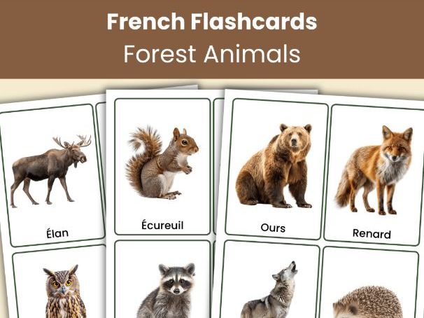 French Forest Animals Flashcards | 32 Real Photo Vocabulary Cards