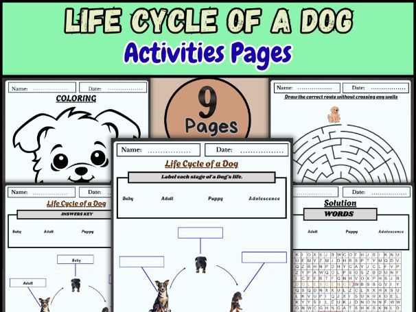 Life Cycle of a Dog Worksheet | Animal Life Cycle Science Activity