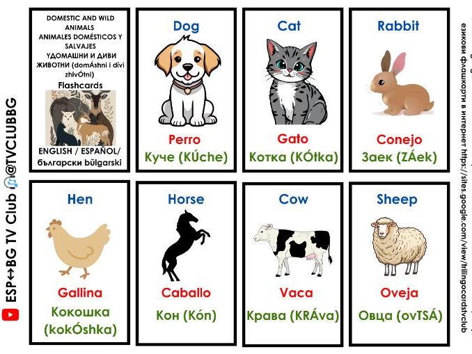 Eng Spain Bg nature vocabulary 96 flashcards