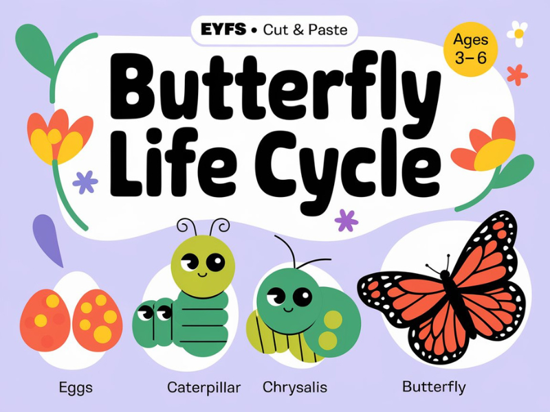 Butterfly Life Cycle EYFS  |  Cut and Paste