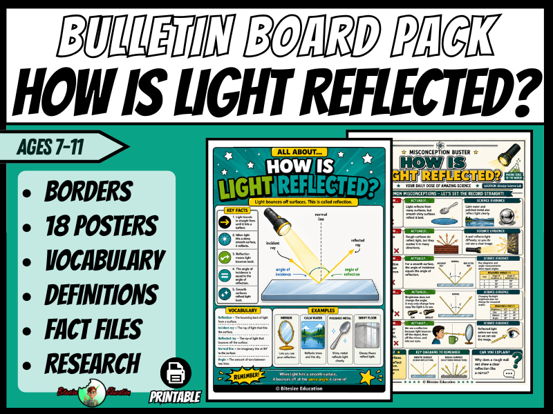 How Is Light Reflected? Bulletin Board Display | Posters, Timeline, Map & Vocab