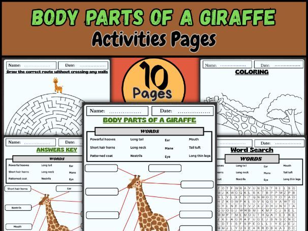 Body Parts of a Giraffe Labeling, Coloring & Word Search Animal Science Activity