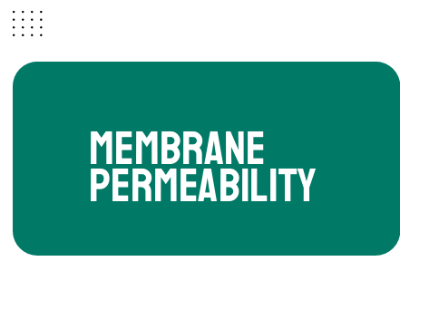 AP Biology Unit 2: Membrane Permeability