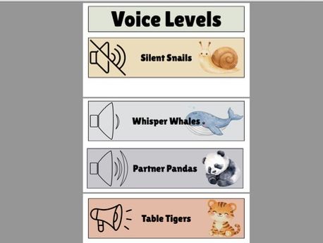 Noise Levels