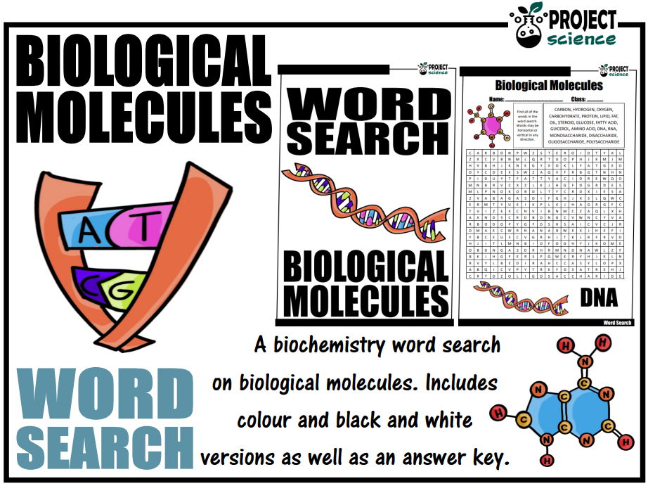 Biological Molecules Word Search