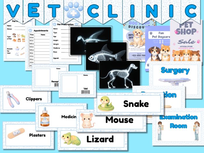 Vet Clinic Role Play Pack, EYFS & KS1 Veterinary Surgery Classroom Role Play Area