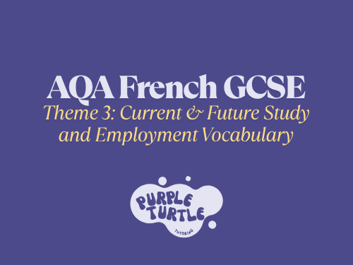 GCSE French Vocab Theme 3: Current and Future Study and Employment