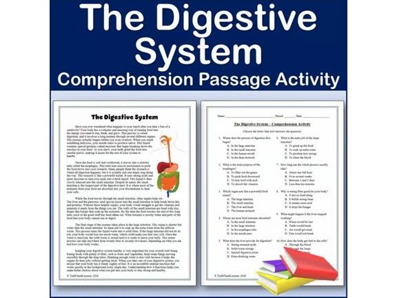The Digestive System - Biology Reading Comp Passage & Activity | Editable